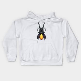 Amber Beetle Kids Hoodie